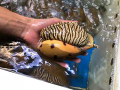 -南蚝小贝海鲜特色餐厅(南澳岛店)