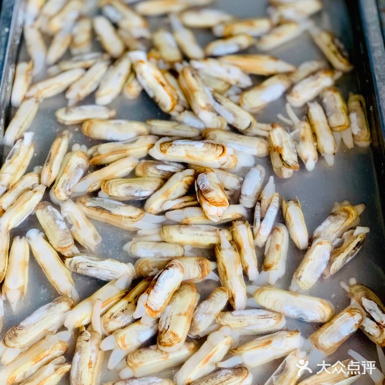 周末烹饪课，十分钟搞定快手菜——白灼蛏子