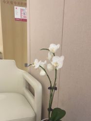 -广东韩妃整形外科医院