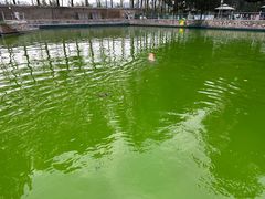 -宠乐会宠物乐园