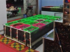 -众味海鲜大排档·活海鲜·潮汕味(南澳店)