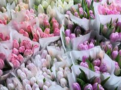 -循礼门鲜花花市(武汉循礼门店)