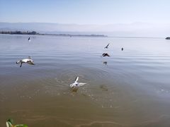 -西昌邛海宾馆