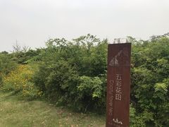 -九里河湿地公园