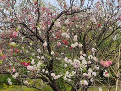 -国家植物园南园