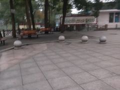 -南山植物园