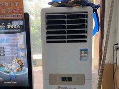 -宠颐生猫科·内科皮肤科(西平世纪城店)