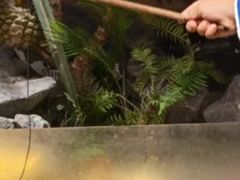 -正佳雨林生态植物园