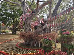 -云溪植物园