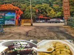 -鲤鱼塘农家山庄