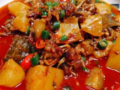 -青城甲(青城山店)