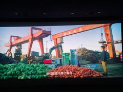 -飞扬影城(正佳IMAX店)