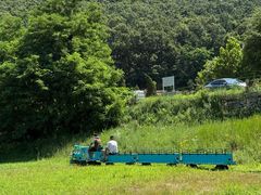 -金石滩蓝莓谷庄园