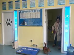 -瑞鹏宠物医院·爱宠堂·骨外专科(西荷分院)