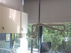 -泰康拜博口腔(世博园乐尔店)