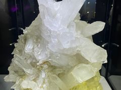 -中国地质大学逸夫博物馆