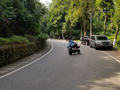 -火炉山森林公园