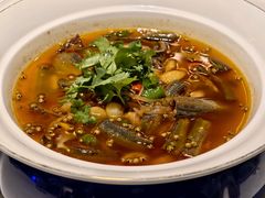 -院8里·小聚园老川菜(九眼桥店)