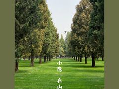 -天坛公园