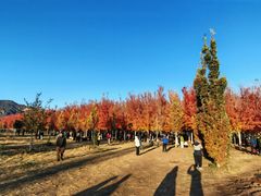 -何适山庄 ·可团建(水长城P2停车场店)