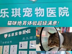 -乐琪宠物医院·犬猫专科·骨外科·急重症