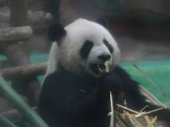 -五龙山野生动物王国