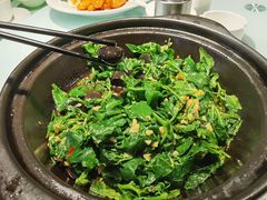 石烹菠菜-豫丰汇河南名菜楼(武记餐饮)
