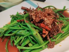 -菌自由丨野生菌火锅特色庭院餐厅(丽江古城店)