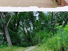 -白鹭湾湿地公园