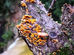 -洛阳白云山景区