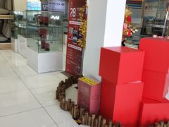 -南充通源宝马4S店(高坪店)