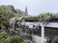 -何园