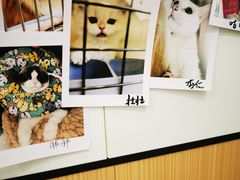 -瑞派·关忠动物医院·猫专科·犬专科(三环新城店)