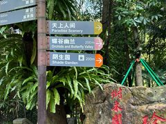 -深圳仙湖植物园