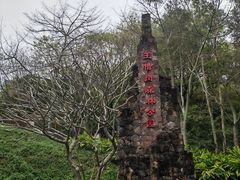 -王借岗森林公园