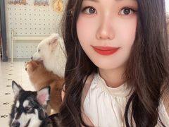 -毛绒耶耶撸宠馆·猫咖·狗咖·荷兰猪咖