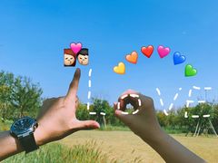 -春花秋色城市公园