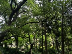-叶家花园