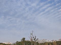-新江湾城公园