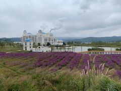 -华侨城阳宗海海景温泉