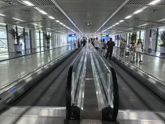 -青岛胶东国际机场