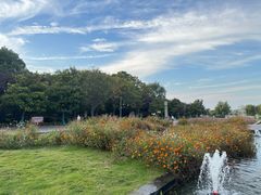 -洛阳市隋唐城遗址植物园