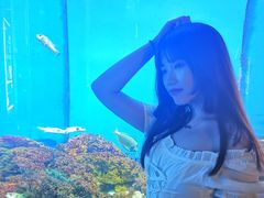 -石家庄海洋公园