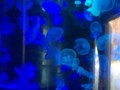 iphone_upload_pic-东部华侨城