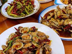 -小海丁