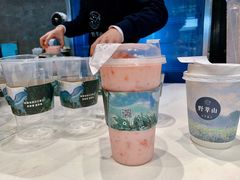 -野萃山·潮汕厚果汁(十亩地店)