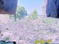-鸡鸣寺