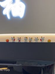 -功夫肩颈先柚美容养生