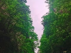 -野三坡百里峡景区