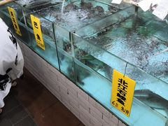 -寻味顺德·南记酒家·传统顺德菜·鱼生(广源路店)